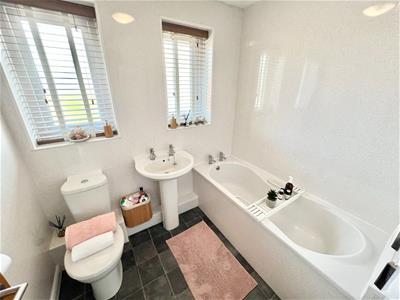 Picture 21